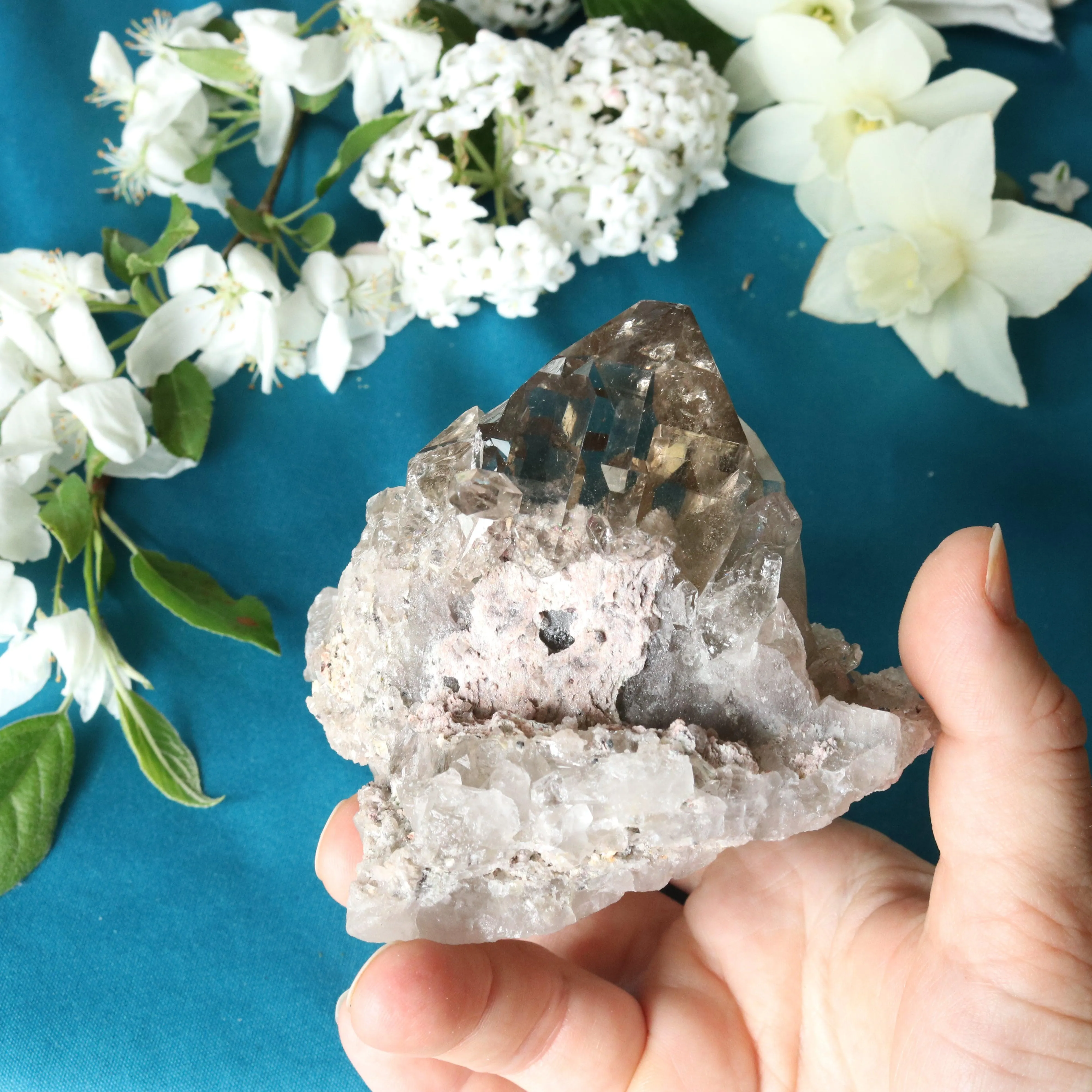 Super Clear Grade A Smoky Quartz Cluster ~ Grounding and Meditative Specimen