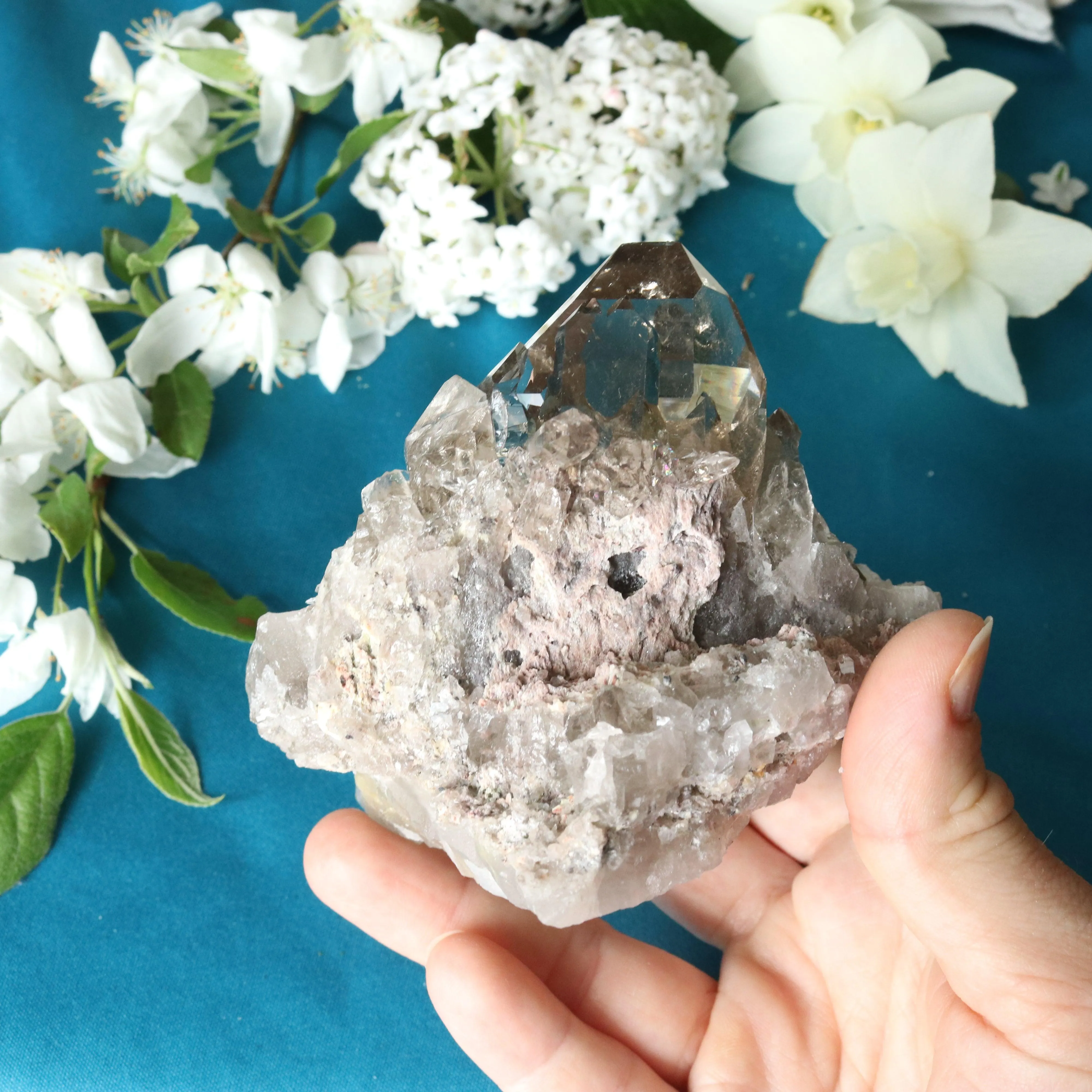 Super Clear Grade A Smoky Quartz Cluster ~ Grounding and Meditative Specimen